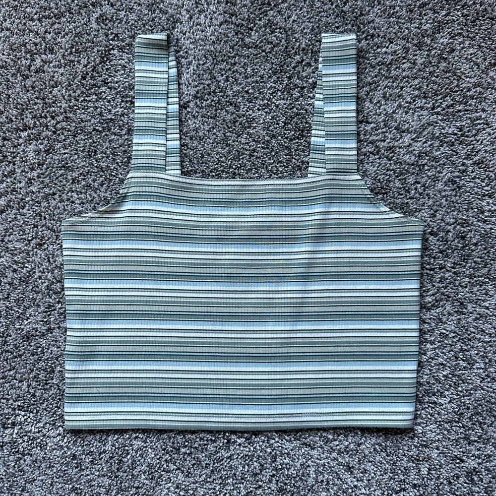 American Eagle Outfitters Blue and White Sleeveless Crop Tank Top